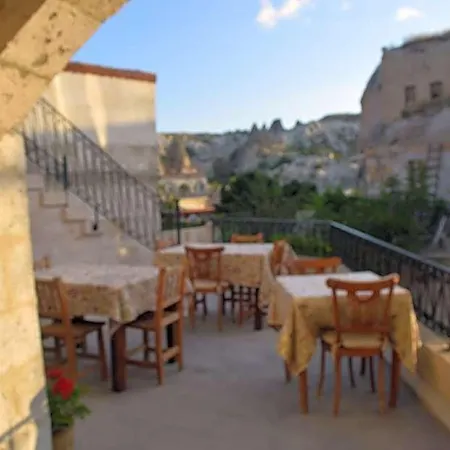 Mansion فندق